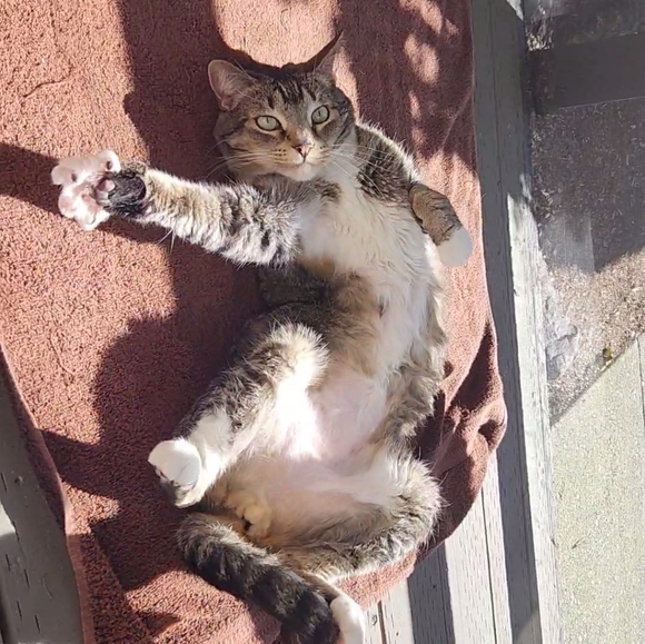 Meet Alex and Melon! - Picture 2 of 5